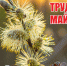 Поздравляем с праздником Весны и Труда!!! - Шорский национальный парк