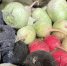 Белгородская область увеличила поставки продуктов растениеводства в другие страны - Сетевое издание Знамя 31