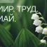 Поздравление ректора Пермского ГАТУ с Первомаем! - ПГСХА