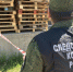В Иволгинском районе следователем СК устанавливаются обстоятельства гибели двух человек во время пожара - Следственный комитет
