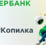 5 причин начать инвестировать с ИнвестКопилкой от Сбера - Kirov.Online