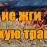 Не жгите сухую траву! - Администрация Инжавинского района