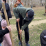 Личный состав СИЗО-2 ГУФСИН России по Приморскому краю внес свой вклад в «Сад Памяти» - УФСИН