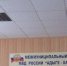 Жительница аула Эркен-Юрт через группу в мессенджере обманула знакомых на 681 тысячу рублей - Sk-News.Ru