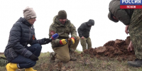Подняты останки 30 бойцов и 13 медальонов: поисковики из пяти регионов восстанавливают историю воздушного тарана под Великими Луками - ГТРК Псков