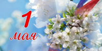 С наступающим 1 мая! - Российский центр защиты леса
