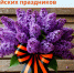 Стационар круглосуточно, поликлиники и ФАПы по графику: режим работы Тосненской КМБ в майские праздники - Газета Тосненский вестник