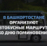 В Башкортостане организуют автобусные маршруты ко Дню поминовения - Министерство транспорта и дорожного хозяйства