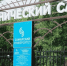 Жителей Самары приглашают на открытие Ботанического сада 4 мая - ProGorodSamara.Ru