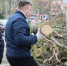 Во Владимире продолжается уборка городских пространств от мусора - Город Владимир