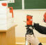 You are viewing the image with filename Image00001.jpg - Костромская ГСХА