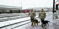 Белгородские транспортные полицейские усилили безопасность на приграничных магистралях - Сетевое издание Знамя 31