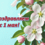 Поздравляем с 1 мая! - Министерство ЖКХ Владимирской области