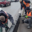 На уборку улиц и парков в Курске вышли 88 человек - Городские Известия