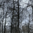Пресс-служба - Kaluga-Poisk.Ru