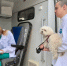 Профилактическую вакцинацию питомцев проведут в районе Внуково - Район Внуково