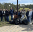 Сотрудники комитета по АПК и Управления ветеринарии провели субботник в Луге - 47Channel.Ru