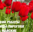 График работы больницы Пирогова на майские праздники - ГКБ им. Н.И. Пирогова