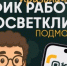 Жителям Подмосковья рассказали, как будут работать ветеринарные клиники в майские праздники - Правительство Московской области