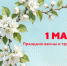 Поздравление министра образования Приморского края с 1 Мая 2026 - Министерство образования