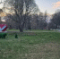 Первомай в Ленобласти: днём до +15, но ночью возможен минус - SyasNews.Ru