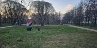 Первомай в Ленобласти: днём до +15, но ночью возможен минус - SyasNews.Ru