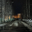 img - ЛДПР