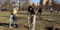 Коллектив Счетной палаты Красноярского края принял участие в общегородском субботнике - Счетная Палата