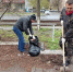 В Курске завершают месячник чистоты массовыми субботниками - Городские Известия