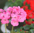 1543 - News102.Ru