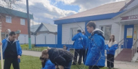 Озеленение Шемышейского района - Шемышейский район