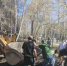 В Центральном районе Барнаула прошел заключительный «чистый четверг» - Администрация г. Барнаул