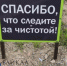 Улан-удэнка пошла в суд после парковки на газоне - ИА Байкал-Daily