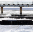 +19°C и без осадков: погода в Калининградской области 1 мая - NewKaliningrad.Ru