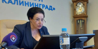 Дятлова назвала день отключения батарей - ИА Русский Запад