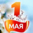 Дорогие заявители, поздравляем вас с Праздником Весны и Труда! - МФЦ