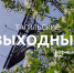 Тагильские выходные топ-7: по следам северного оленя, «Мелодия на вылет», семейные игры, рэп-концерт и зрелищное мотошоу  - Между Строк