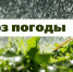«Дождливо»: прогноз погоды на 2, 3 и 4 мая - Вся-Округа.РФ