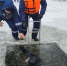 Нырять было проще: брянский водолаз вновь не смог выбить досрочную пенсию - Газета Брянские новости
