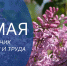 Поздравление Председателя Думы Астраханской области Игоря Мартынова с Днем Весны и Труда - Дума
