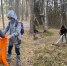 Пляж Липово в Сосновом Бору привели в порядок - Online47.Ru