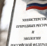 В одном из озер Владивостока погибли черепахи - Baikal24.Ru
