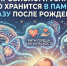 Нейробиологи узнали, что хранится в памяти сразу после рождения - Кингисепп-сегодня.рф