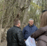 реадовка новиков - О чём Говорит Смоленск