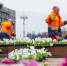 Виолу начали высаживать в Москве - Вечерняя Москва