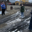 img - ЛДПР