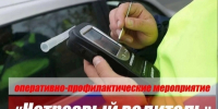 В период провведения майских праздников на территолрии Брянской области будет проходить профилактическое мероприятие "Нетрезвый водитель" - ОМВД