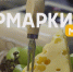 223 ярмарки в мае: от «Победного Мая» до винных дегустаций — афиша праздничных и тематических площадок Подмосковья - РТВ-Подмосковье