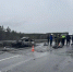 В массовом ДТП на Урале погибли четыре ребенка. Трое пострадали - 47 новостей