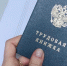 Трудовая - Известия Мордовии